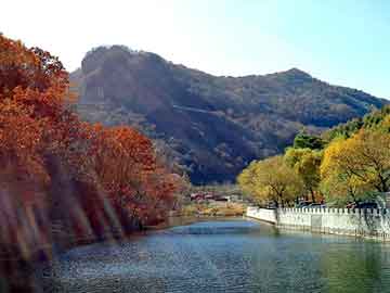 新澳天天开奖资料大全旅游团，都市高手最新章节